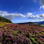 Hotel Druids Glen 5*
