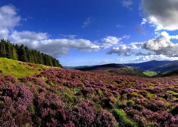 Hotel Druids Glen 5*