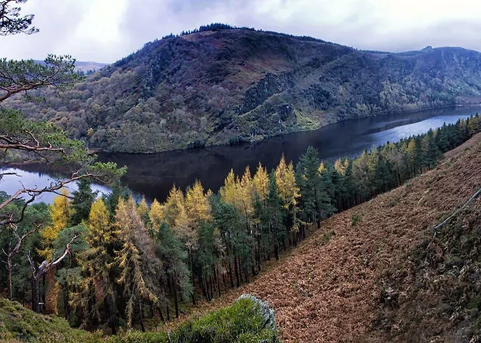 德鲁伊兹格林度假酒店 酒店 5*