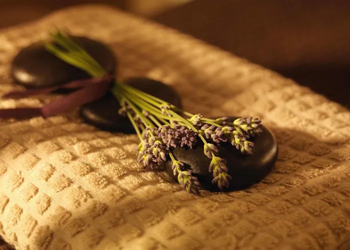 酒店 德鲁伊兹格林度假酒店